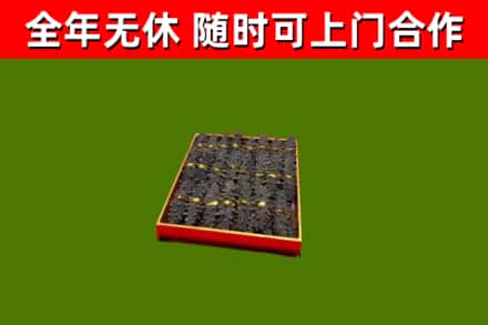 桑珠孜区回收海参
